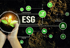How Accely Can Help Advance Your Organization’s ESG & Wider Sustainability Journey
